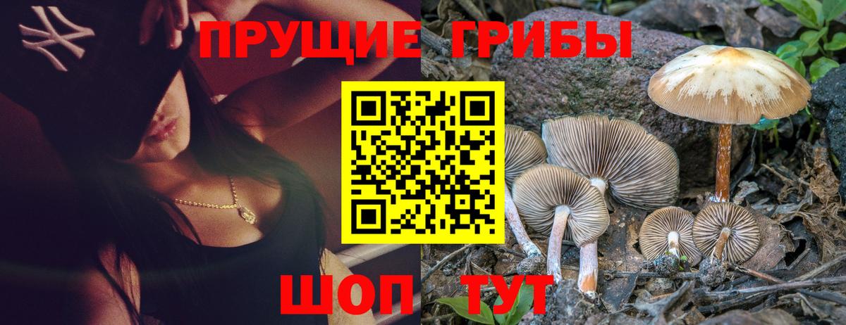Псилоцибиновые грибы прущие грибы Лениногорск